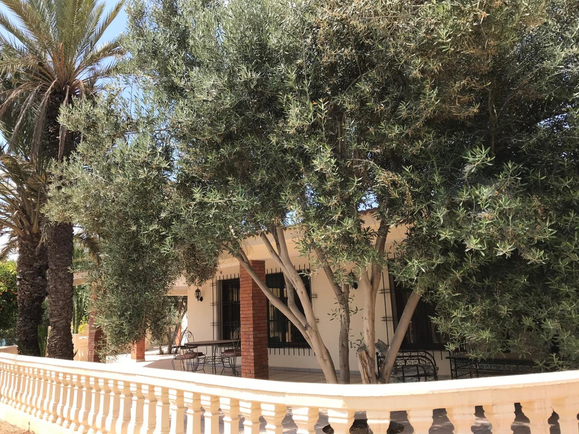 Tiguimi Vacances - Oasis Villas, Cadre Naturel Et Vue Montagne Agadir Exterior photo