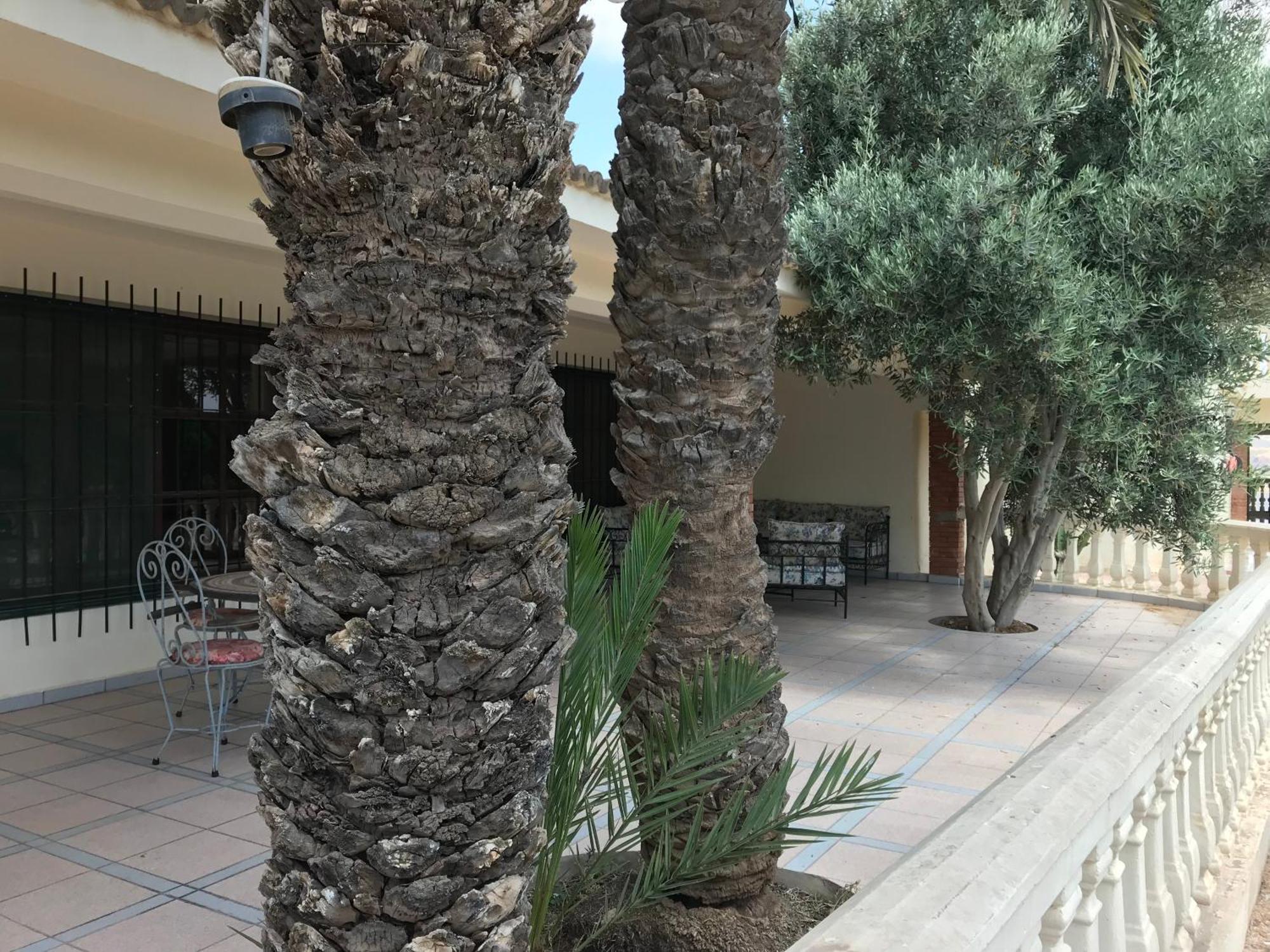Tiguimi Vacances - Oasis Villas, Cadre Naturel Et Vue Montagne Agadir Exterior photo